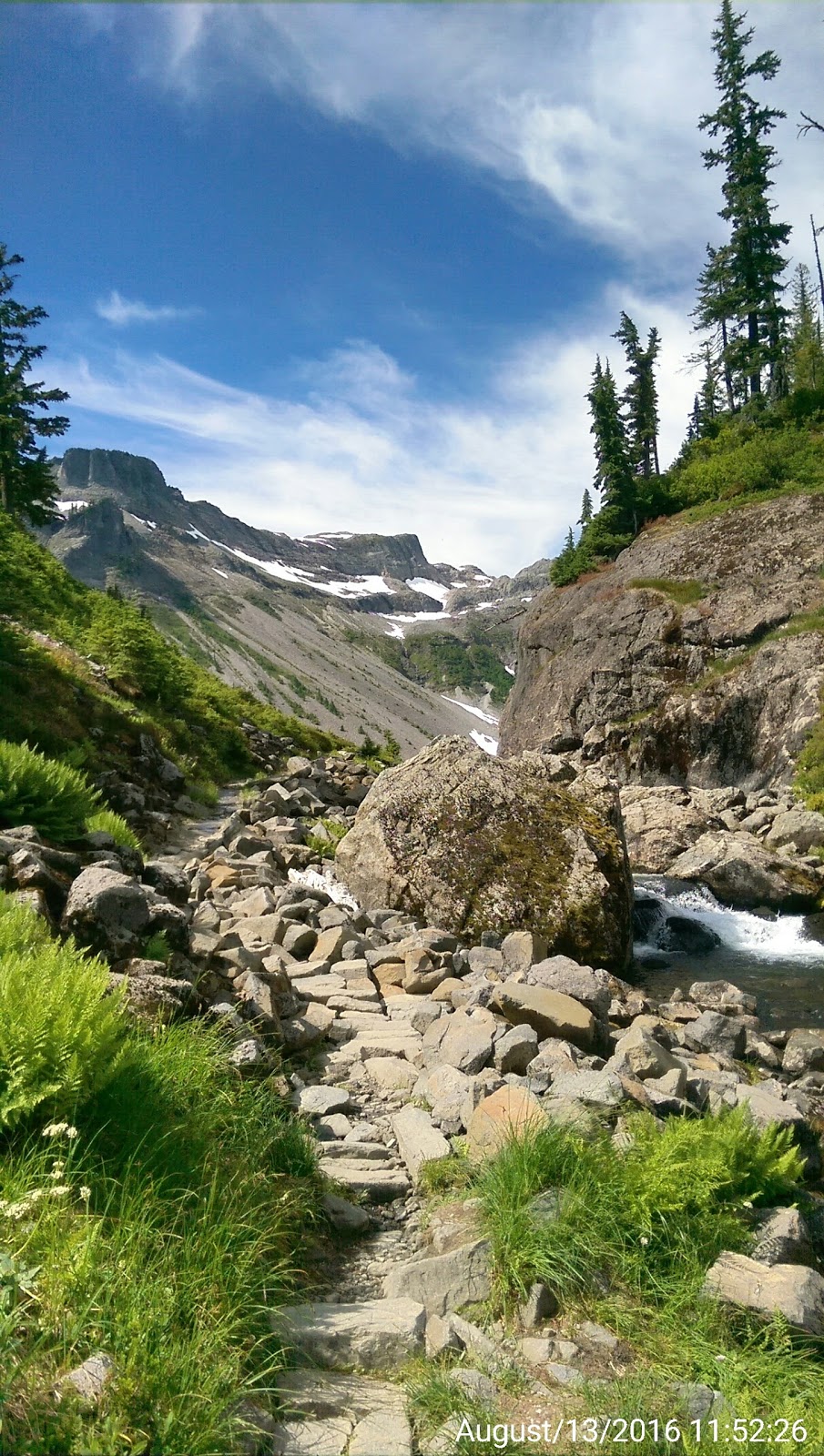Mount Baker Visitor Center | 7509 Mt Baker Hwy, Maple Falls, WA 98266, USA | Phone: (360) 599-1518