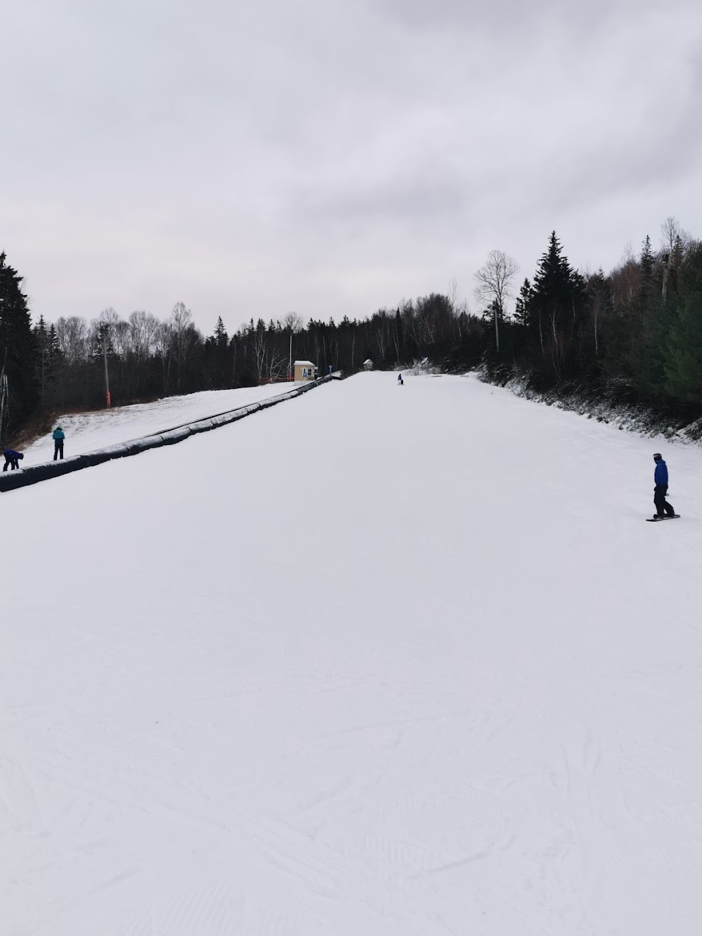 PEI Forestry: Brookvale Demo Woodlot | Brookvale Demo Woodlot Rd, North Wiltshire, PE C0A 1Y0, Canada | Phone: (902) 368-4700