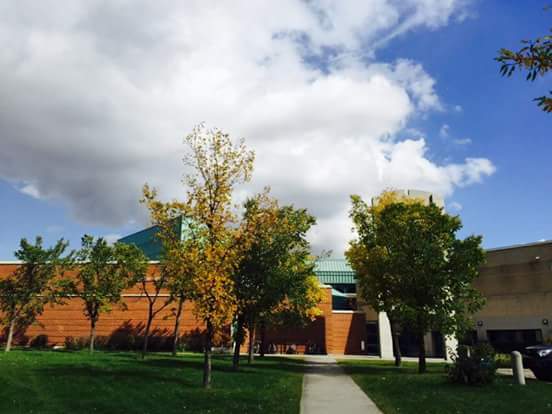 Bishop McNally High School | 5700 Falconridge Blvd NE, Calgary, AB T3J 3N4, Canada | Phone: (403) 500-2091