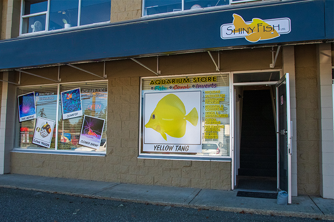 Shiny Fish Ltd | 14770 64 Ave #103, Surrey, BC V3S 1X7, Canada | Phone: (604) 649-1301