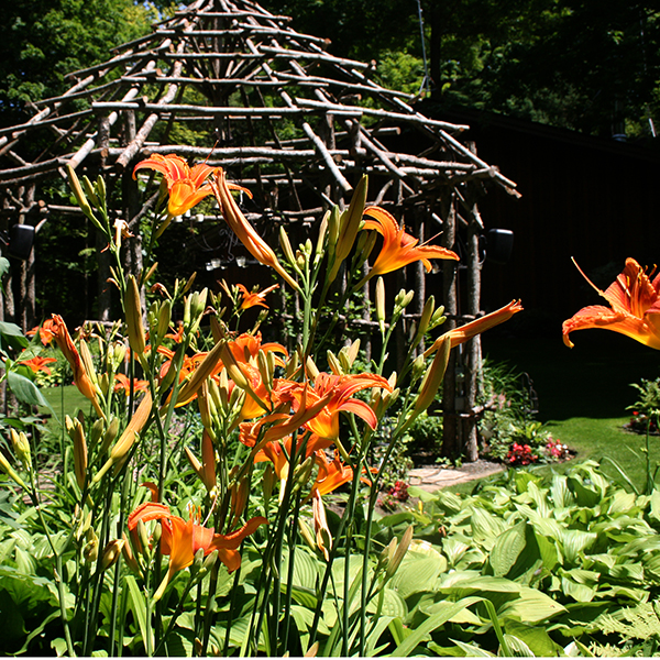 Consider the Lilies Bed and Breakfast | 16571 Ninth Line, Whitchurch-Stouffville, ON L4A 3N8, Canada | Phone: (416) 456-7167