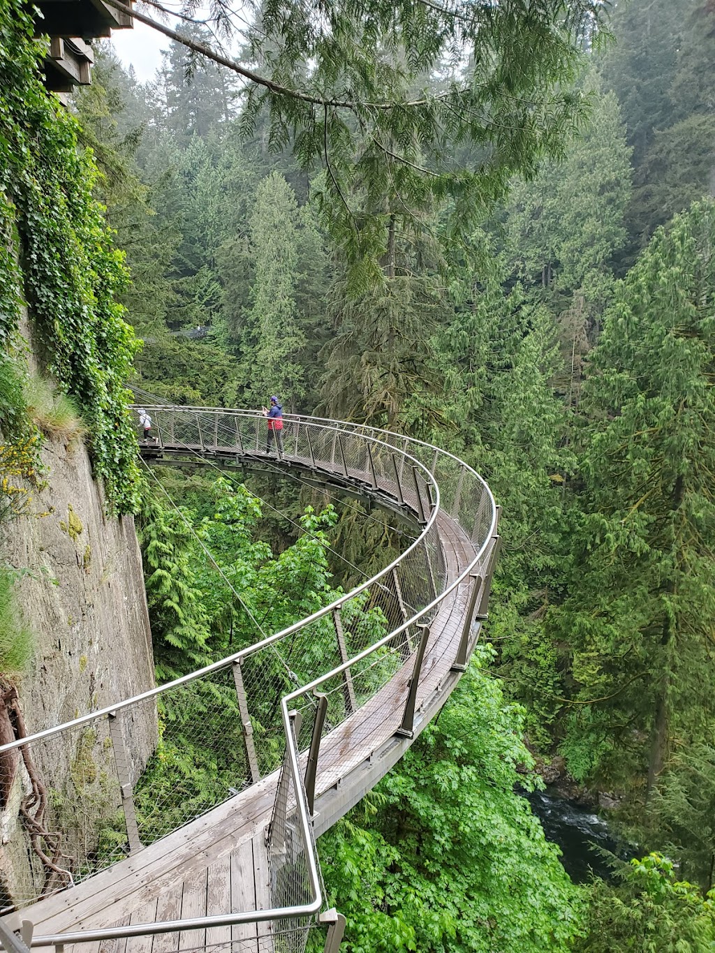 Capilano Suspension Bridge Park | 3735 Capilano Rd, North Vancouver, BC V7R 4J1, Canada | Phone: (604) 985-7474