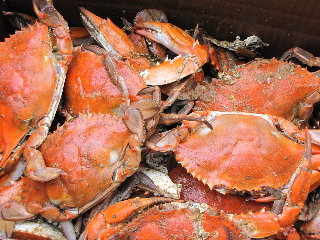 Saltair Ocean Adventures | 611 Oyster Bay Dr, Ladysmith, BC V9G 1A7, Canada | Phone: (604) 346-9114