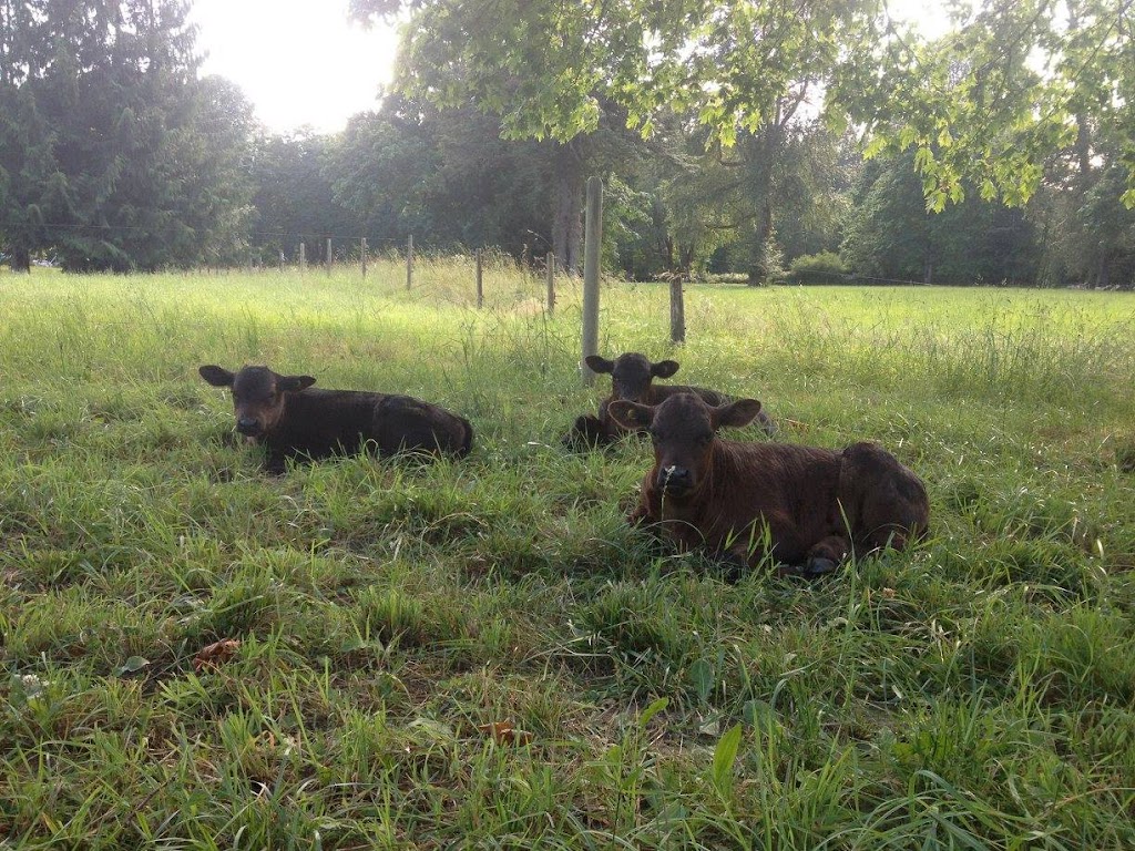 Waterloo Farms | 8282 Chemainus Rd, Chemainus, BC V0R 1K0, Canada | Phone: (250) 732-7699