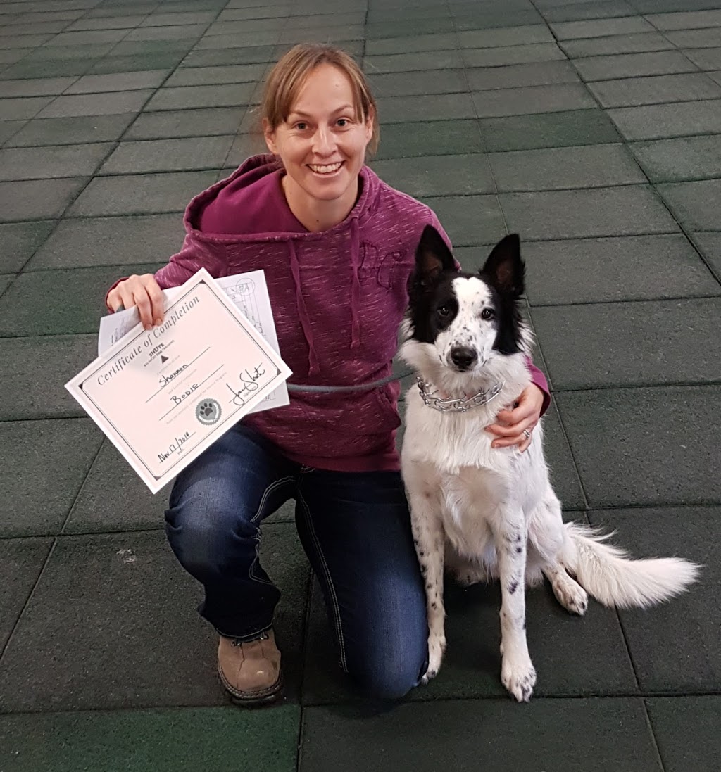 Shute Balanced Dog Training | 4424 Victoria Road South R.R. #1, Suite 3, Puslinch, ON N0B 2J0, Canada | Phone: (519) 763-4608