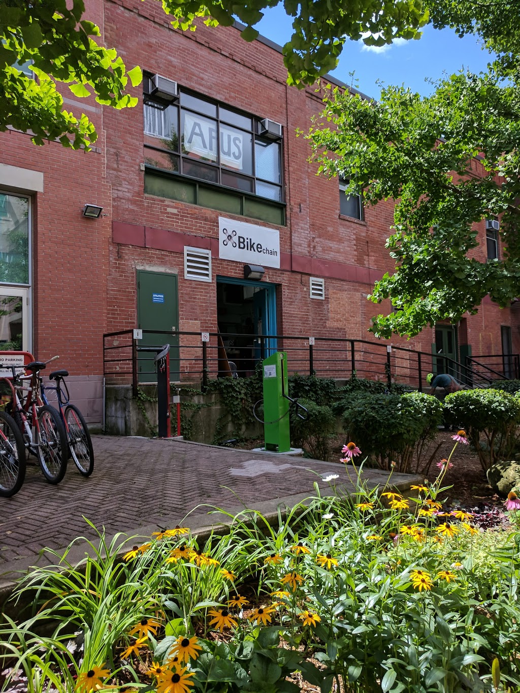 Bikechain | 563 Spadina Crescent, Toronto, ON M5S 2J7, Canada | Phone: (416) 978-6849