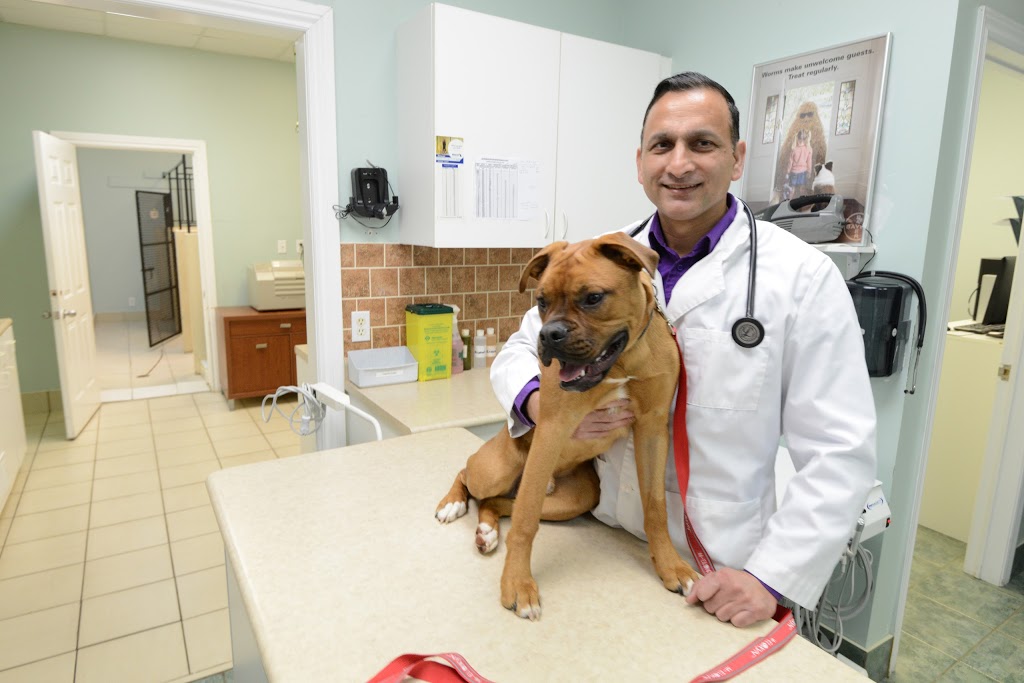 Simcoe Street North Veterinary Clinic | 1487 Simcoe St N, Oshawa, ON L1G 4X8, Canada | Phone: (905) 571-3009