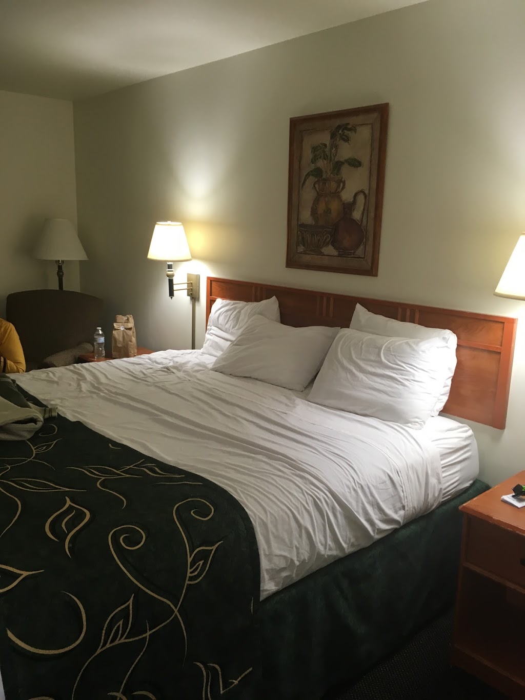 Baymont by Wyndham Buffalo | 3475 Union Rd, Buffalo, NY 14225, USA | Phone: (716) 391-0515