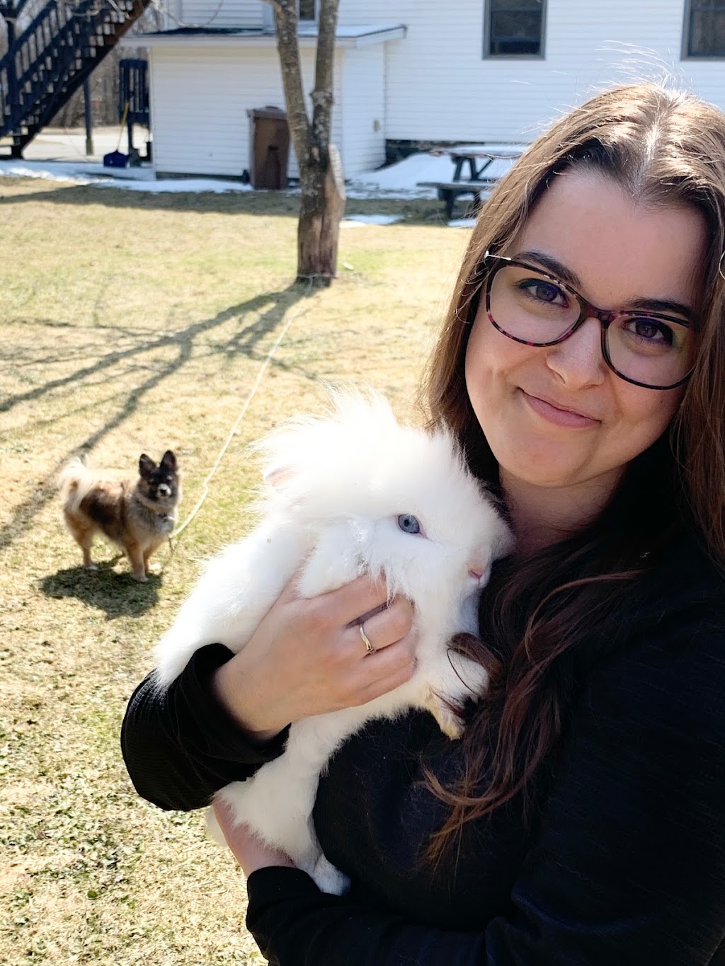 Cottonfluff Rabbitry | 641 QC-220, Bonsecours, QC J0E 1H0, Canada | Phone: (819) 678-7504