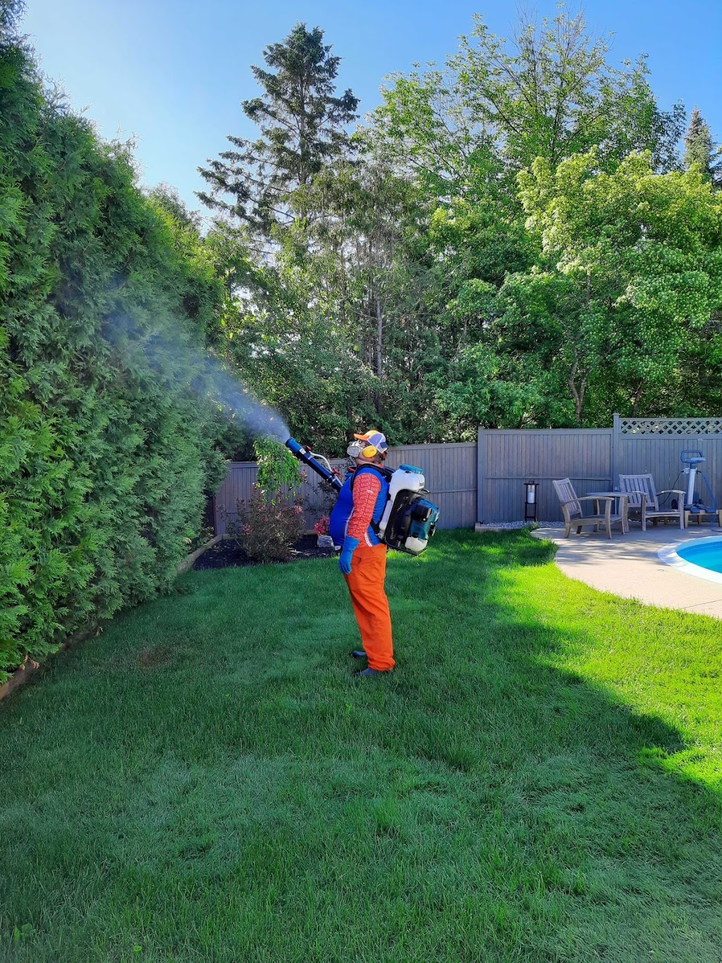 Mosquito.Buzz Ottawa West | 2046 Carp Rd, Carp, ON K0A 1L0, Canada | Phone: (613) 231-2899