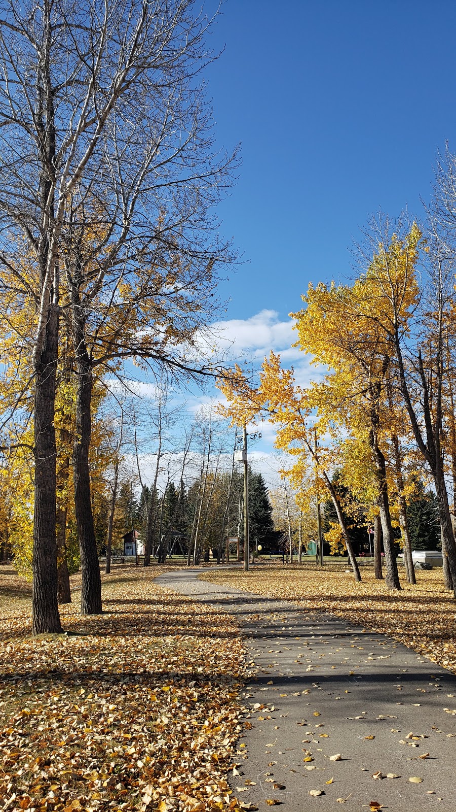 Turner Valley Public Works | 505 Sunrise Hill SW, Turner Valley, AB T0L 2A0, Canada | Phone: (403) 933-5732