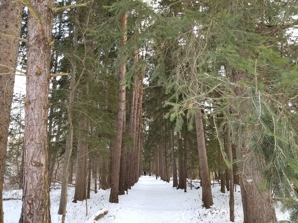 Vista Trail Trailhead | 1749 Meadowvale Rd, Scarborough, ON M1B 5W8, Canada | Phone: (416) 264-2020