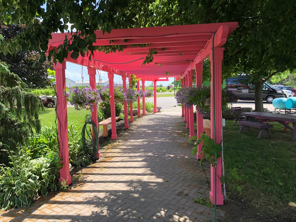Small Talk Vineyards | 1242 Irvine Rd, Niagara-on-the-Lake, ON L0S 1J0, Canada | Phone: (905) 935-3535