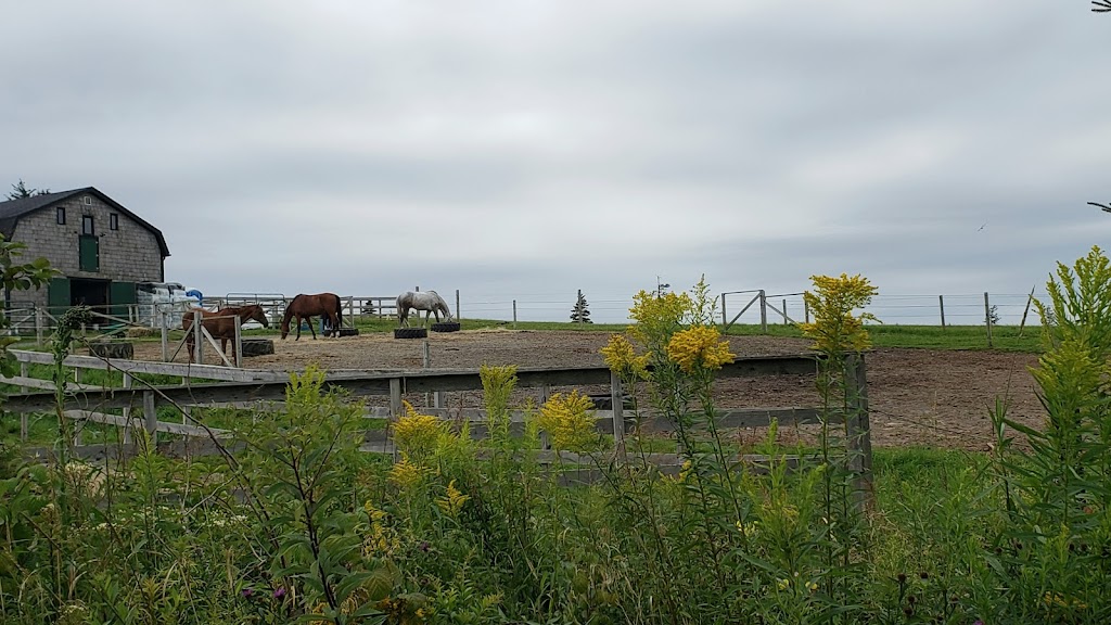 Sambea Farm | 79 Conrad Rd, Lawrencetown, NS B2Z 1S1, Canada | Phone: (902) 488-9607
