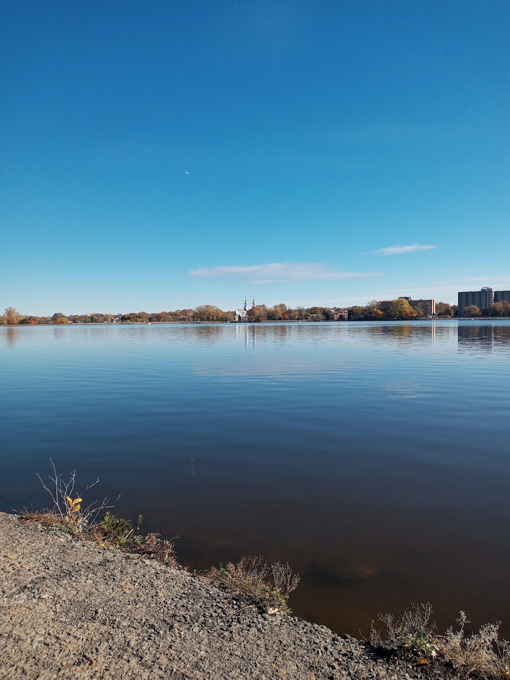 Marina Commodore Ltee | 333 Bd Lévesque E, Laval, QC H7G 1C5, Canada | Phone: (450) 669-3133