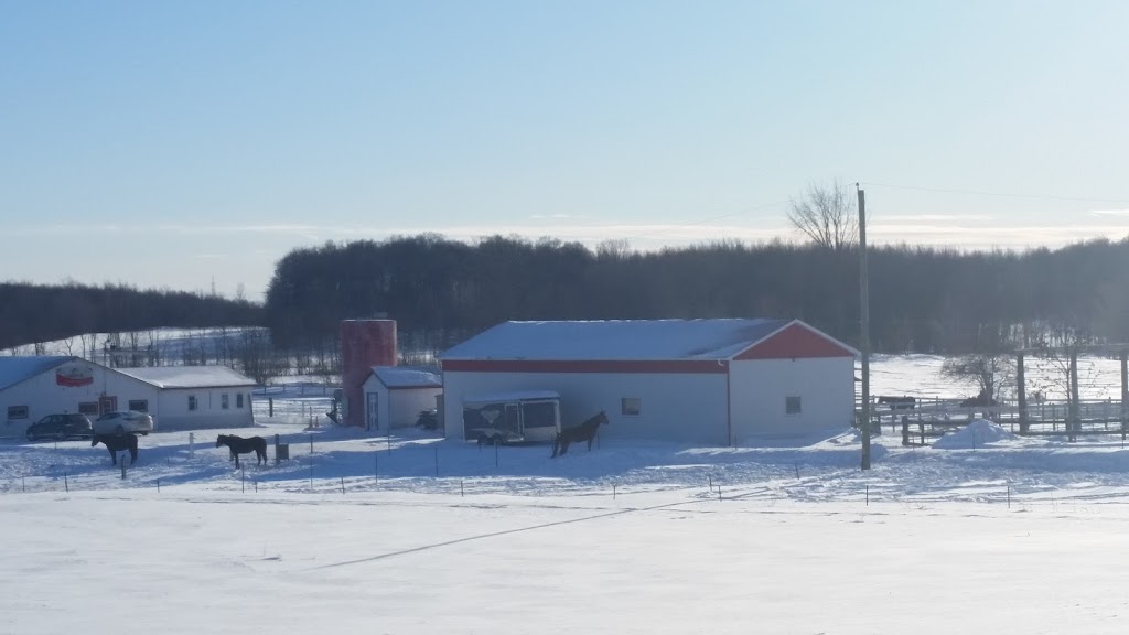 Habitations Paul Marineau | 19001 Chemin du Grand St Charles, Mirabel, QC J7N 2E8, Canada | Phone: (450) 818-6963