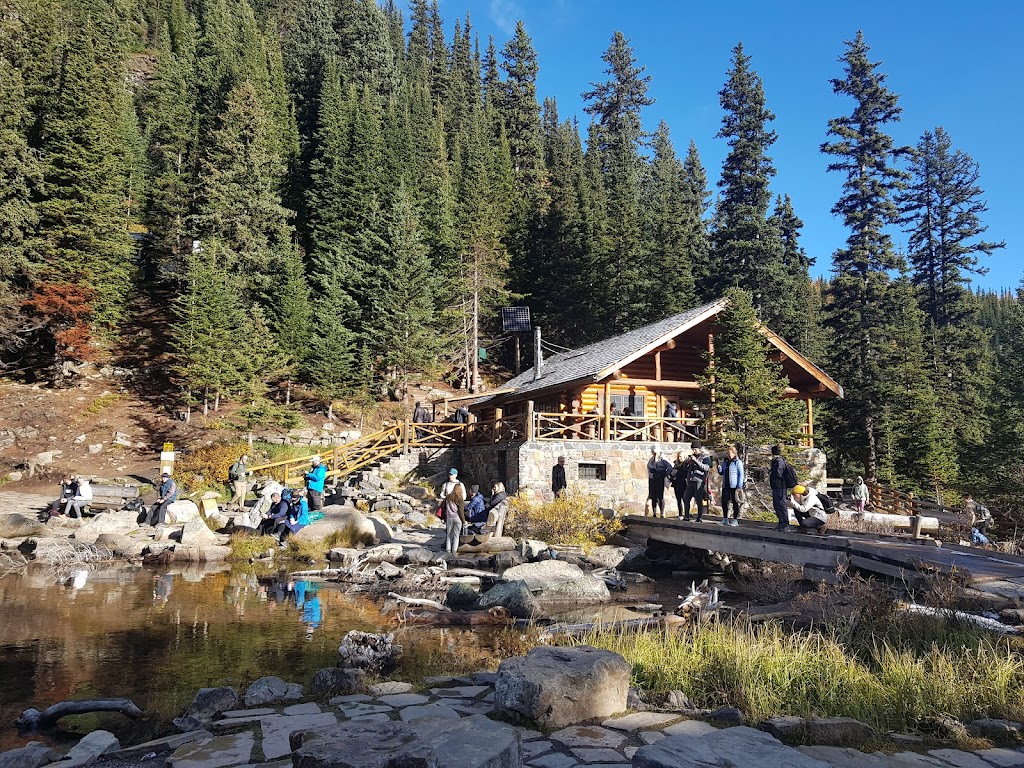Brewsters Lake Louise Stables | 111 Lake Louise Dr, Lake Louise, AB T0L 1E0, Canada | Phone: (403) 762-5454
