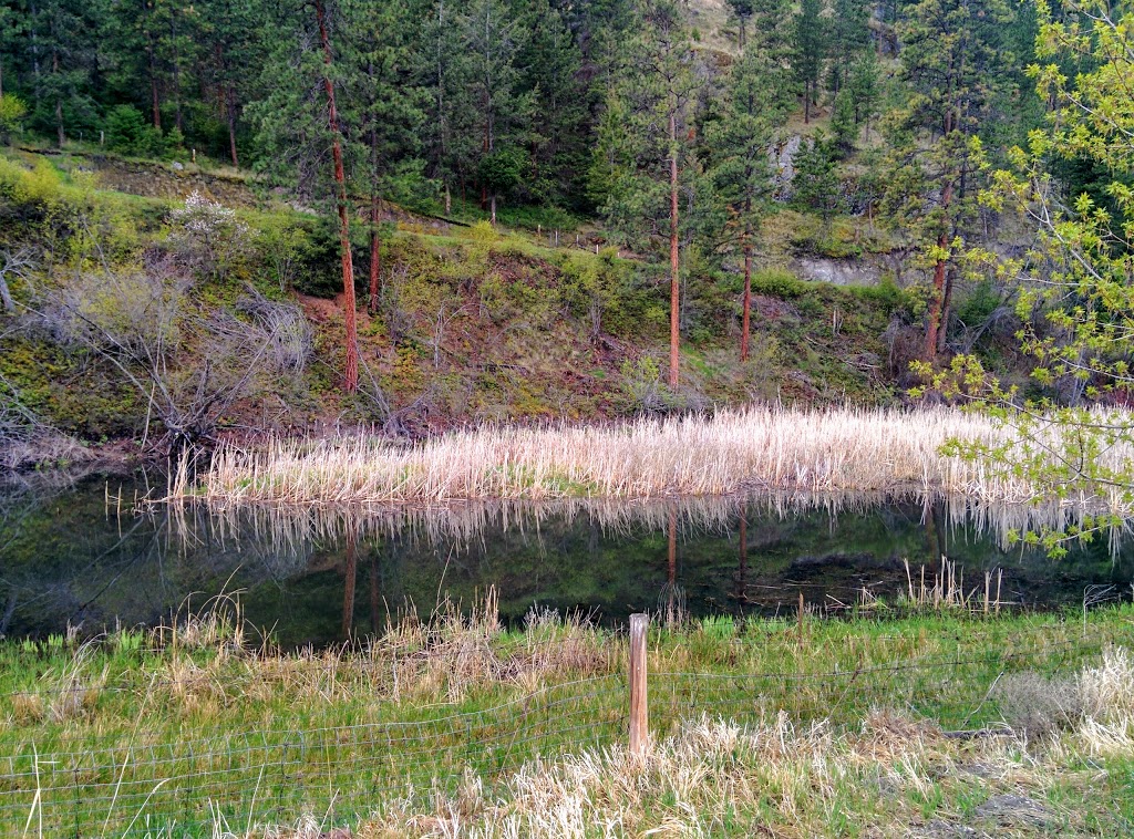 Keogan Sports Park | 1525 Cedar St, Okanagan Falls, BC V0H 1R0, Canada | Phone: (250) 497-8188