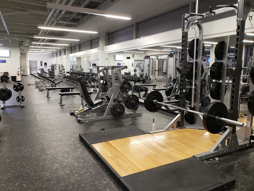 Laurier Brantford YMCA | 100 Water St, Brantford, ON N3T 0P1, Canada | Phone: (519) 512-4891