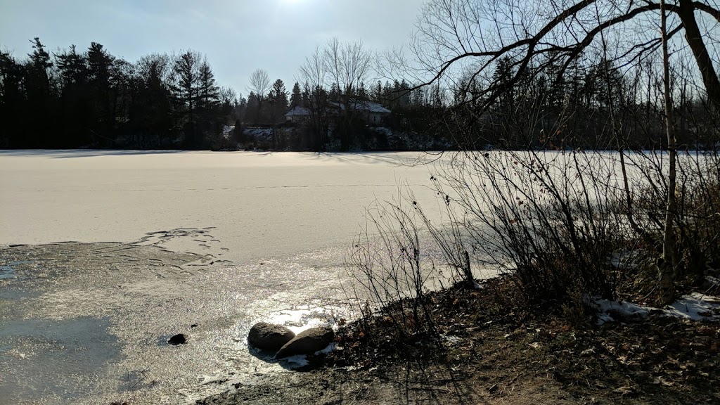 Mitchell Pond Park | 12820 Estate Garden Dr, Richmond Hill, ON L4E 4H1, Canada