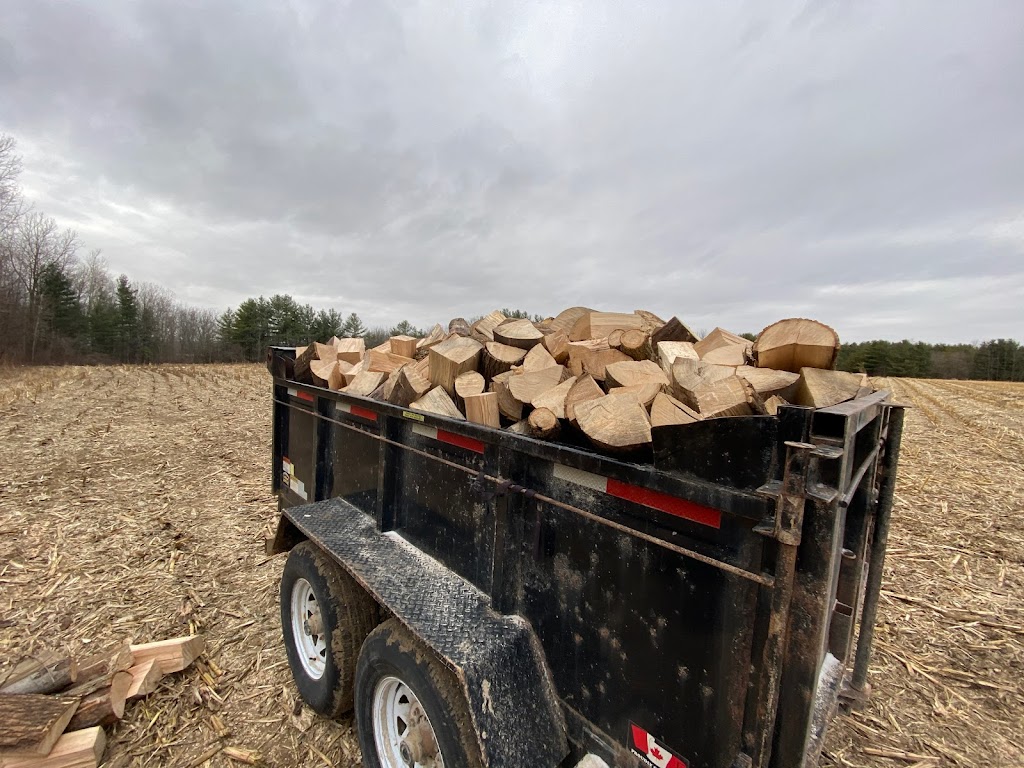 Ben & Jerrys Firewood | 10537 Kerr Rd, Rodney, ON N0L 2C0, Canada | Phone: (519) 860-0308
