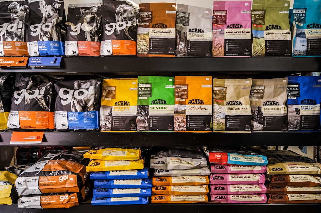 Hounds Of York | 9 Niagara St, Toronto, ON M5V 1C2, Canada | Phone: (416) 593-5225