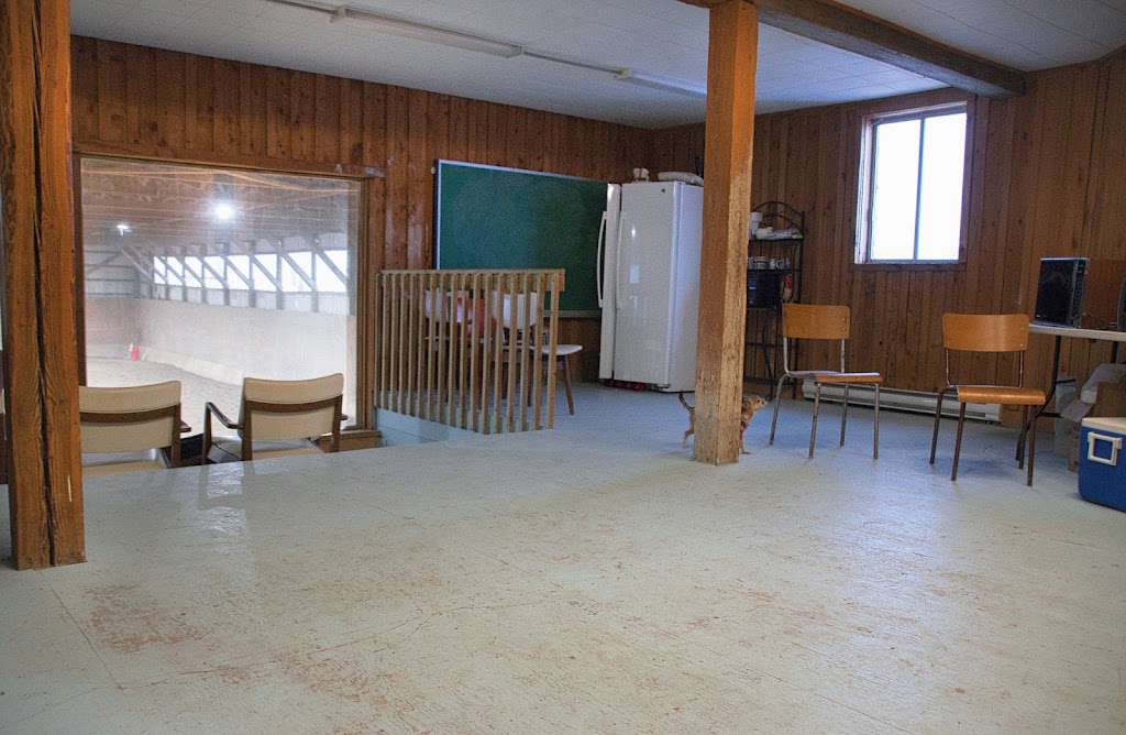 Equestrian Centre Performance Complicité | 17 Rue Marziali, Bedford, QC J0J 1A0, Canada | Phone: (514) 894-5416