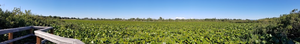 Tennant Lake Park | Ferndale, WA 98248, USA | Phone: (360) 384-4723
