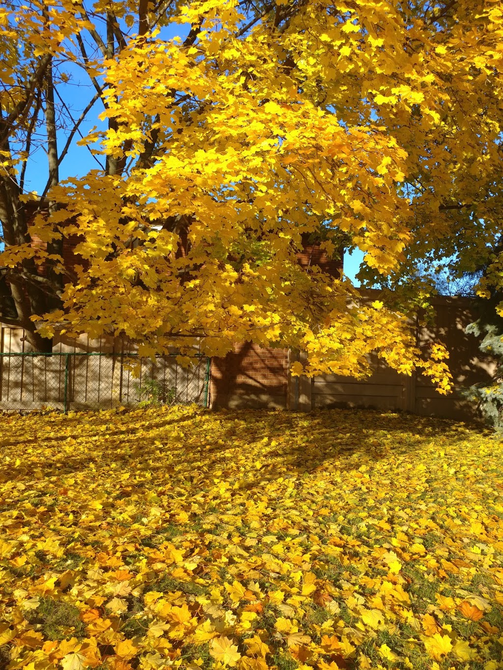Richard F C Mortenson Park | 1665 Burnhamthorpe Rd W, Mississauga, ON L5L 3C8, Canada
