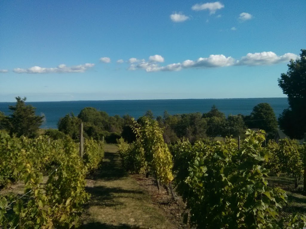 Prince Edward County Custom Wine Tours | 3 Sunshine Ln, Trenton, ON K6V 6X3, Canada | Phone: (343) 333-0740