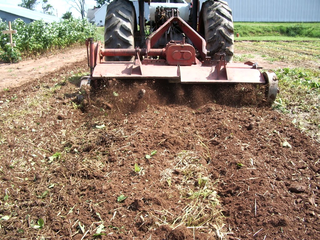 G W Allen Nursery Ltd | 7295 NS-221, Centreville, NS B0P 1J0, Canada | Phone: (902) 678-7519