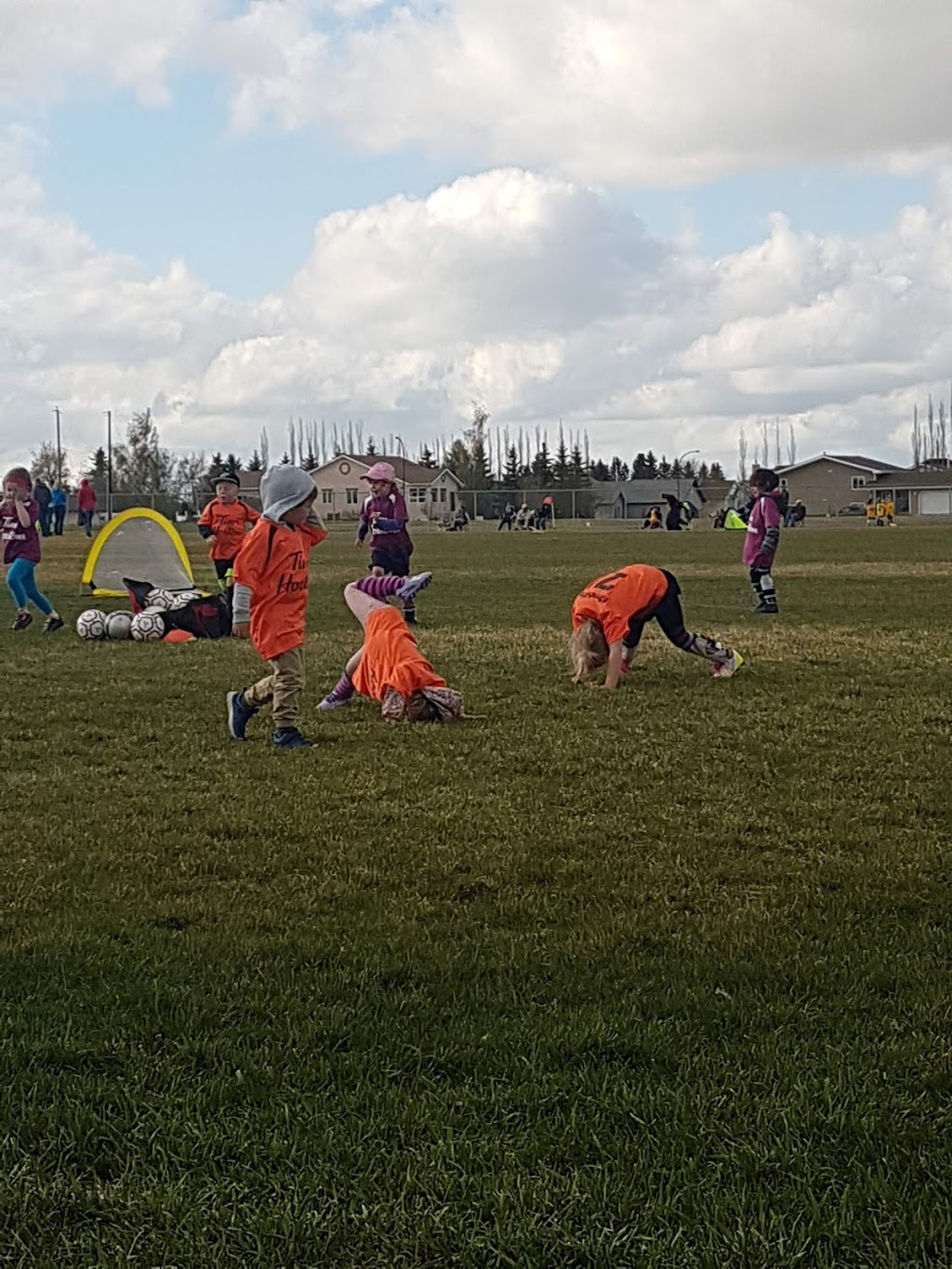 Centennial Fields | 520 11 Ave NE, Three Hills, AB T0M 2A0, Canada | Phone: (403) 443-5822