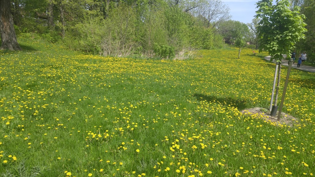 Park | Dixie Rd, Mississauga, ON L4Y, Canada