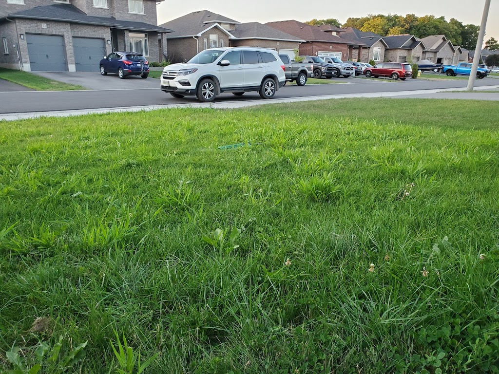 Weed Man Lawn Care | 782 Blessington Rd, Corbyville, ON K0K 1V0, Canada | Phone: (613) 962-2210