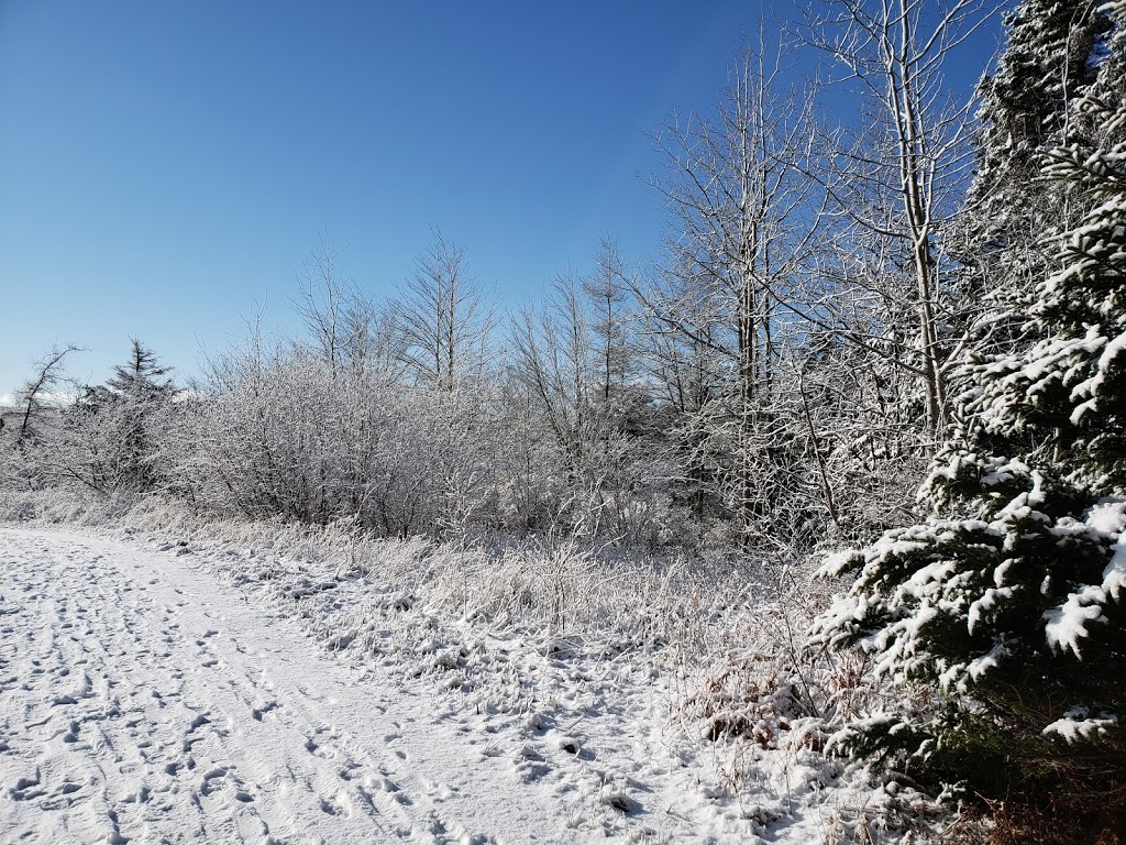 Jerry Lonecloud Trail | Trans Canada Trail, Cole Harbour, NS B2V, Canada