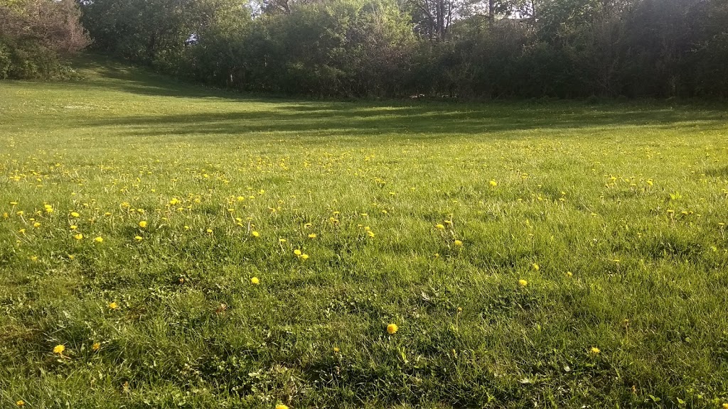 Roselea Park | 75 Mayfield Ave, Waterloo, ON N2J 3R9, Canada