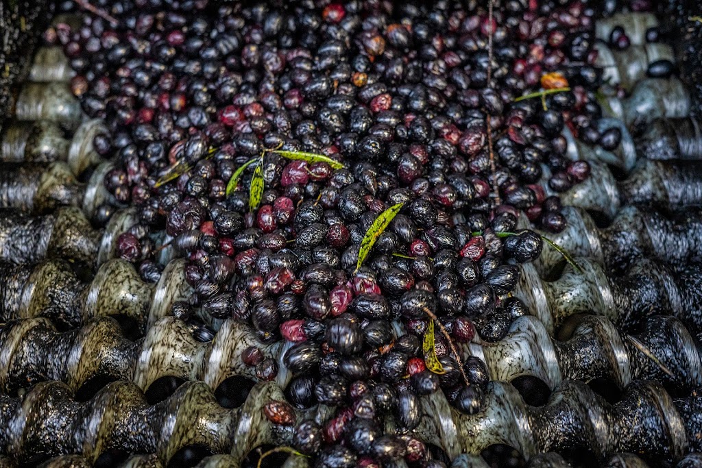 Vezorla Olive Oil Spain | 612 Burns Ave SE, Calgary, AB T2G 4K9, Canada | Phone: (587) 227-5524