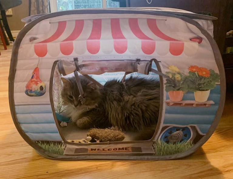 Pet Valu | 12 Elizabeth St, Brighton, ON K0K 1H0, Canada | Phone: (613) 475-4050