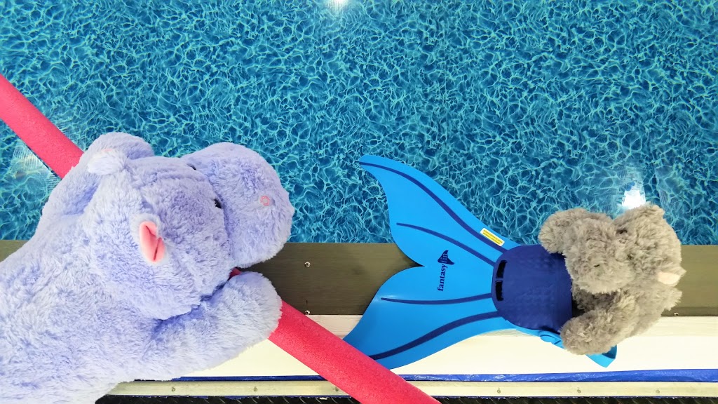 Hippo in the Bathtub Inc. | 41 Grenfell Crescent Unit #2A, Nepean, ON K2G 0G3, Canada | Phone: (613) 695-6011