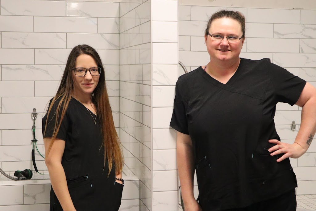 Creative Canine Dog Grooming | 750 Colborne St E Unit 6, Brantford, ON N3S 3S1, Canada | Phone: (519) 304-9247