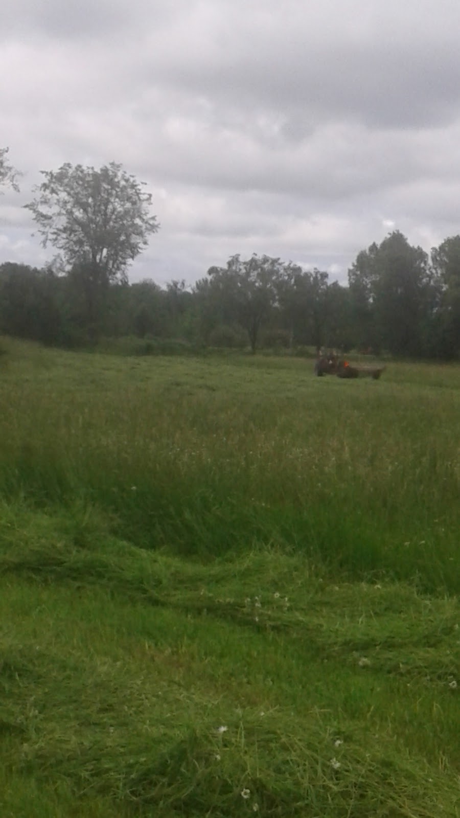 Buckhorn Small Engines Ltd | Trent Lakes, ON K0L, Canada | Phone: (705) 657-3686