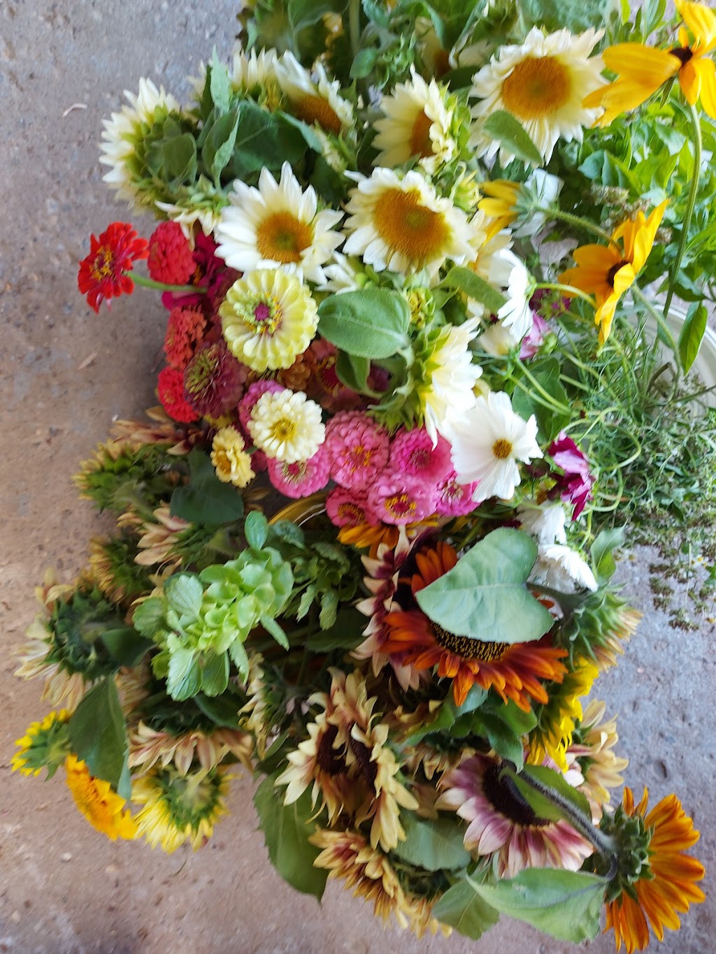 Petit Flower Farm | 4108 ON-24, Waterford, ON N0E 1Y0, Canada | Phone: (519) 865-7050