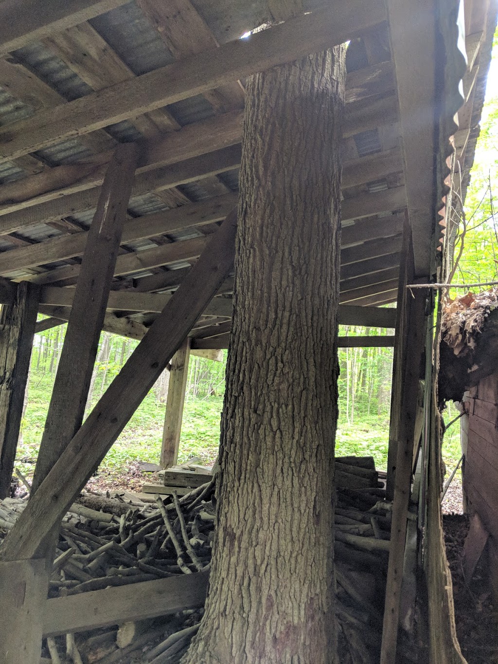 Walker Woods | New Hamburg, ON N3A 0A3, Canada