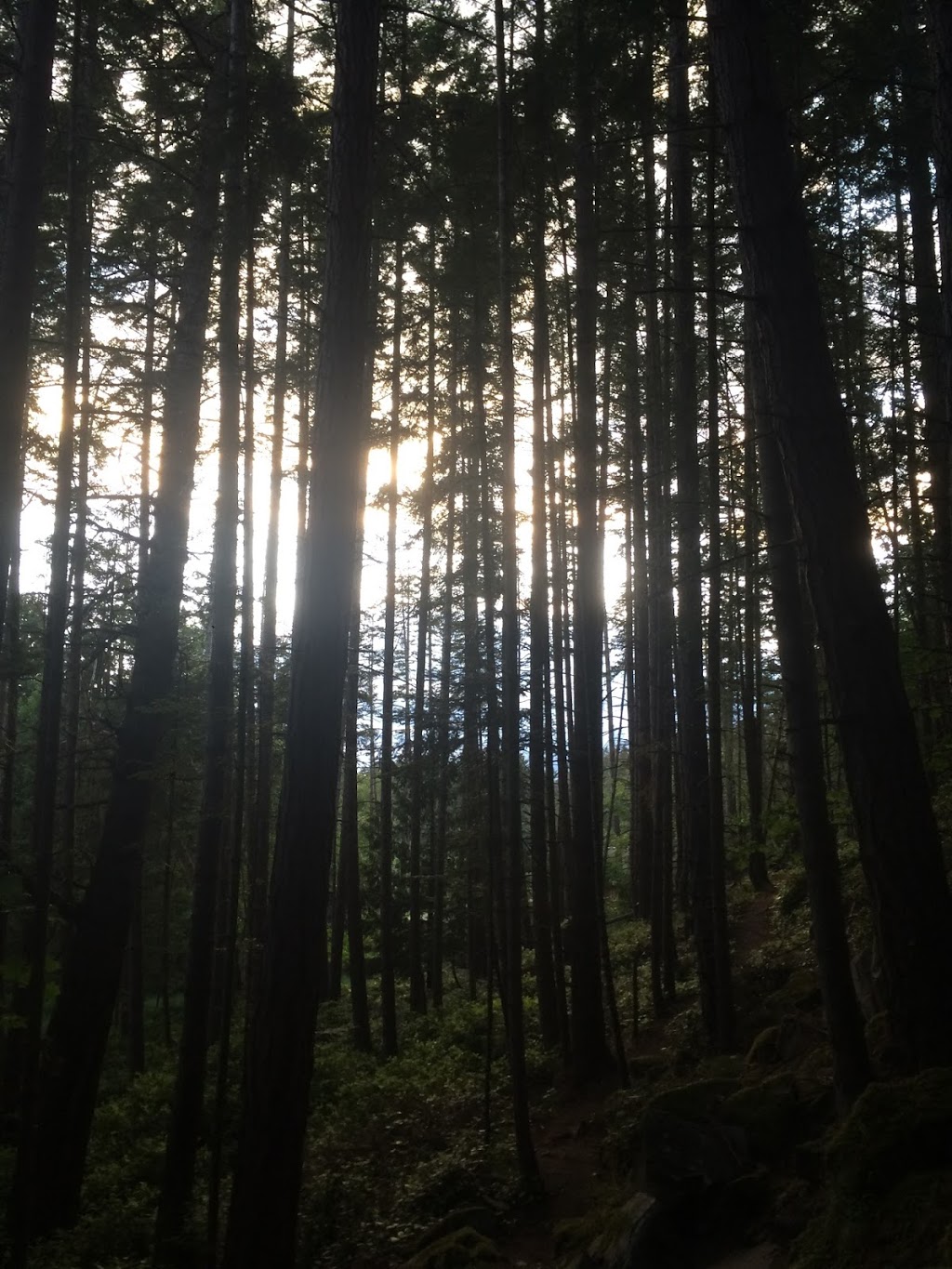 Capstan Lane Park | Pender Island, BC V0N 2M2, Canada