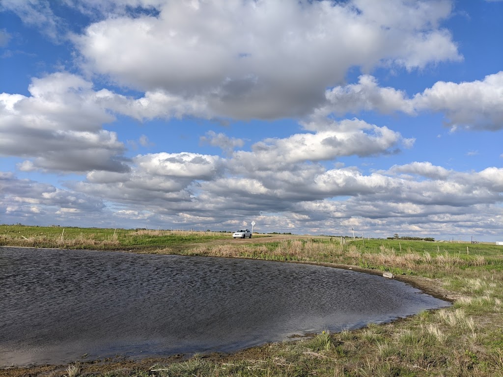 Last Mountain Regional Park | Govan, SK S0G 1Z0, Canada | Phone: (306) 484-4483