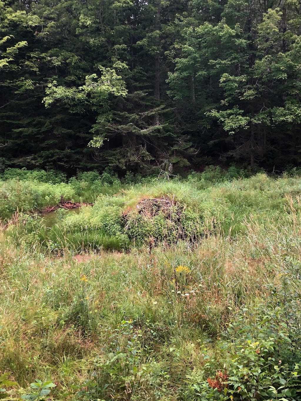 Wrights Creek Watershed Natural Area | 2 Oakland Dr, Charlottetown, PE C1C 1M9, Canada | Phone: (902) 628-1176