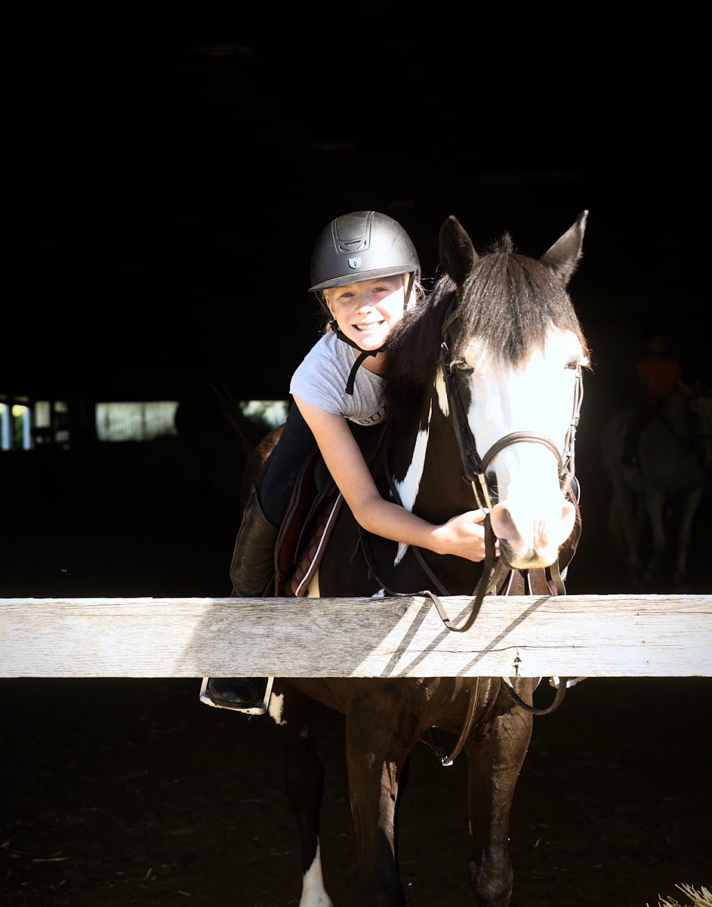 SJD Equestrian | 1122 Big Bay Point Rd, Innisfil, ON L9S 2R1, Canada | Phone: (705) 794-0788