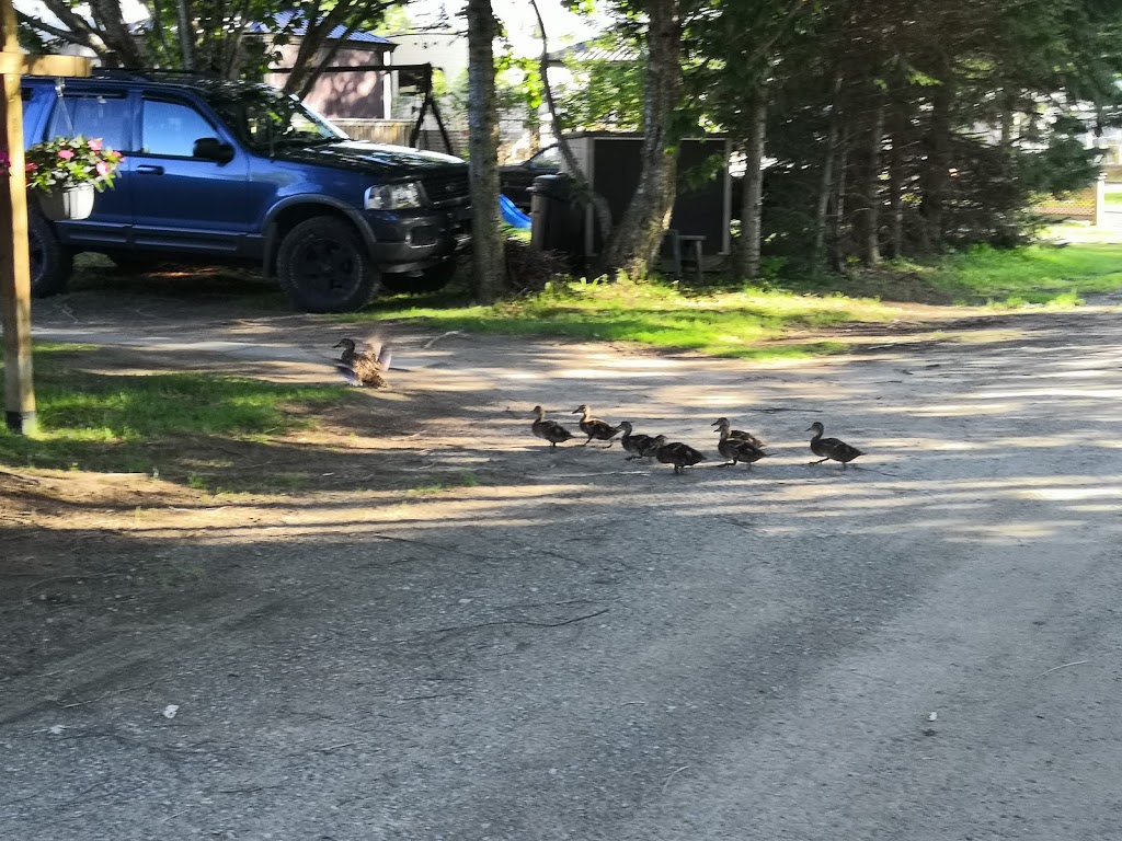 Camping Kelly Enr | 2795 Rue du Camping, Sainte-Julienne, QC J0K 2T0, Canada | Phone: (450) 831-2422