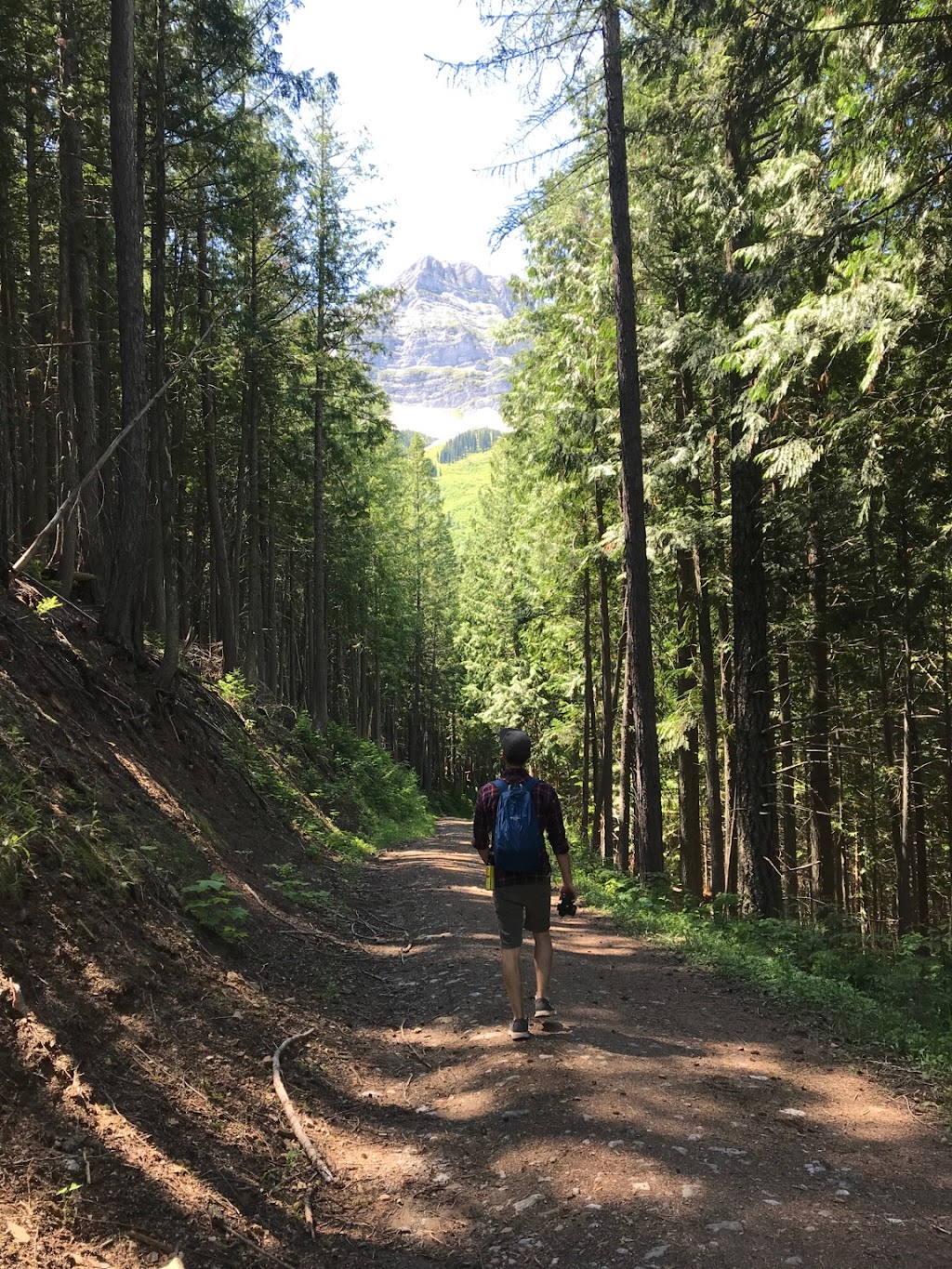 Mount Fernie Provincial Campground | 1M0, Mt Fernie Park Rd, Fernie, BC V0B 1M6, Canada | Phone: (250) 422-3003