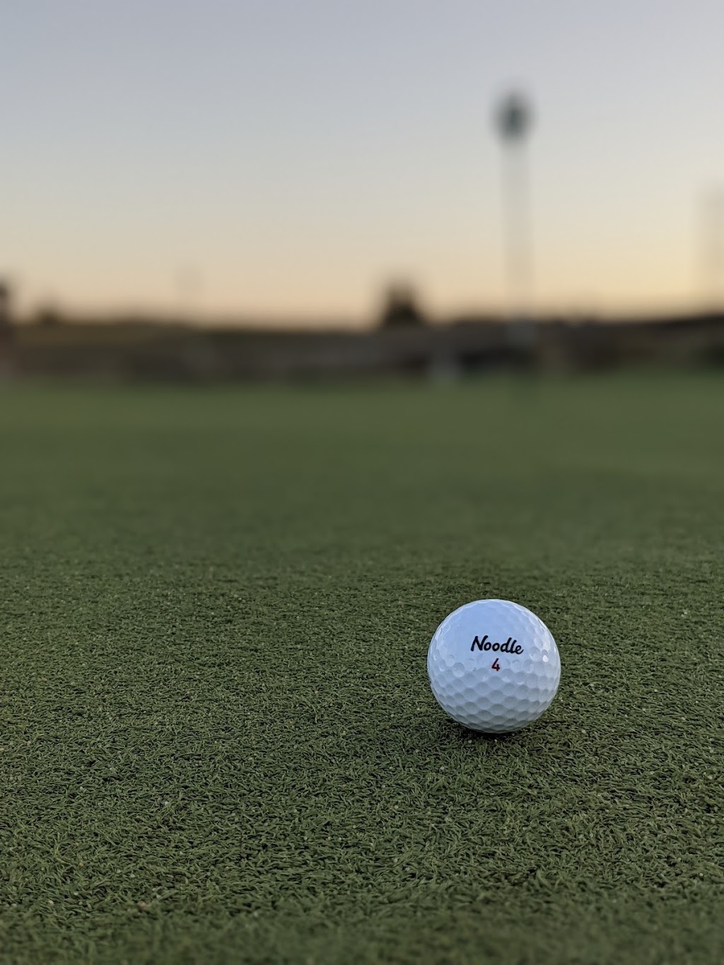 Oasis Greens Golf Centre | 242 Ave W, De Winton, AB T0L 0X0, Canada | Phone: (403) 873-0004